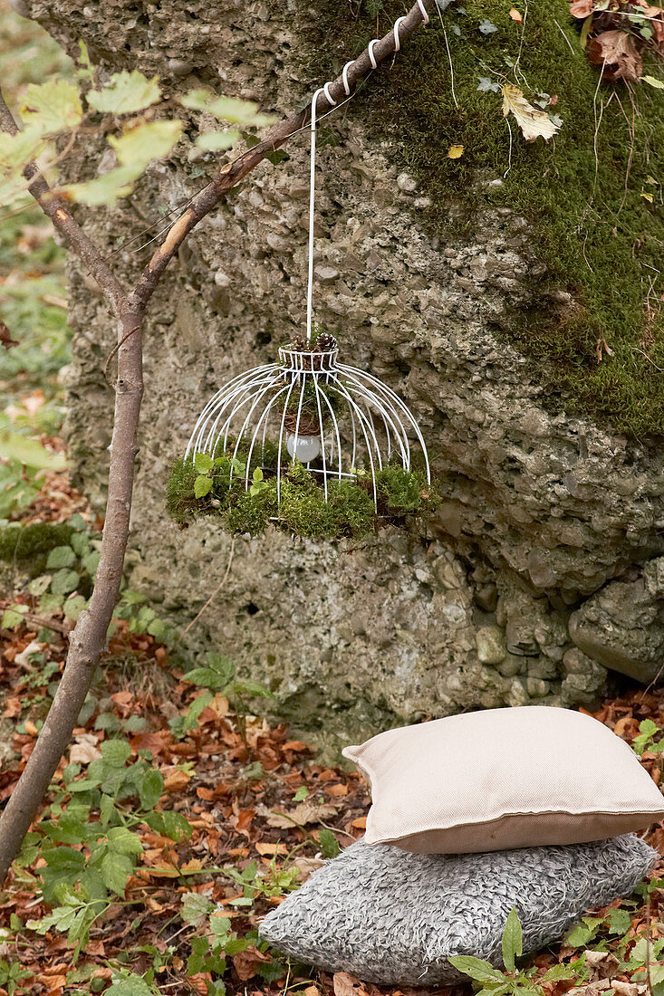 Lampshade draped with moss hung from branch in autumnal woods
