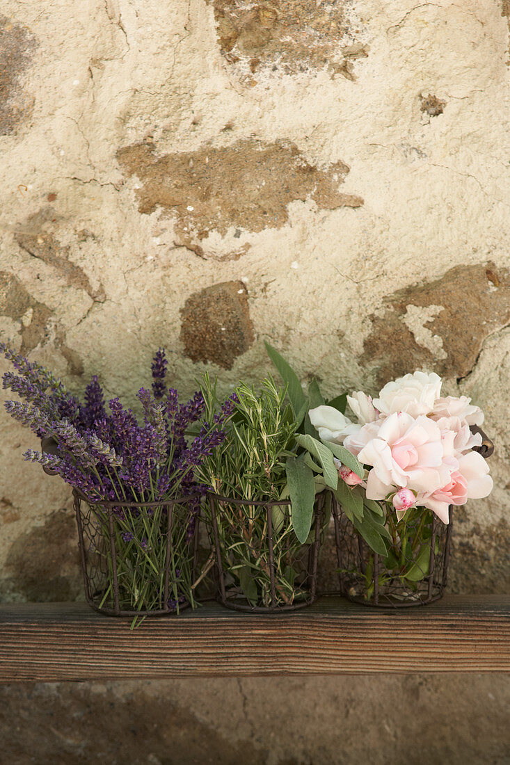 Lavender, sage, rosemary and roses in front of stone wall