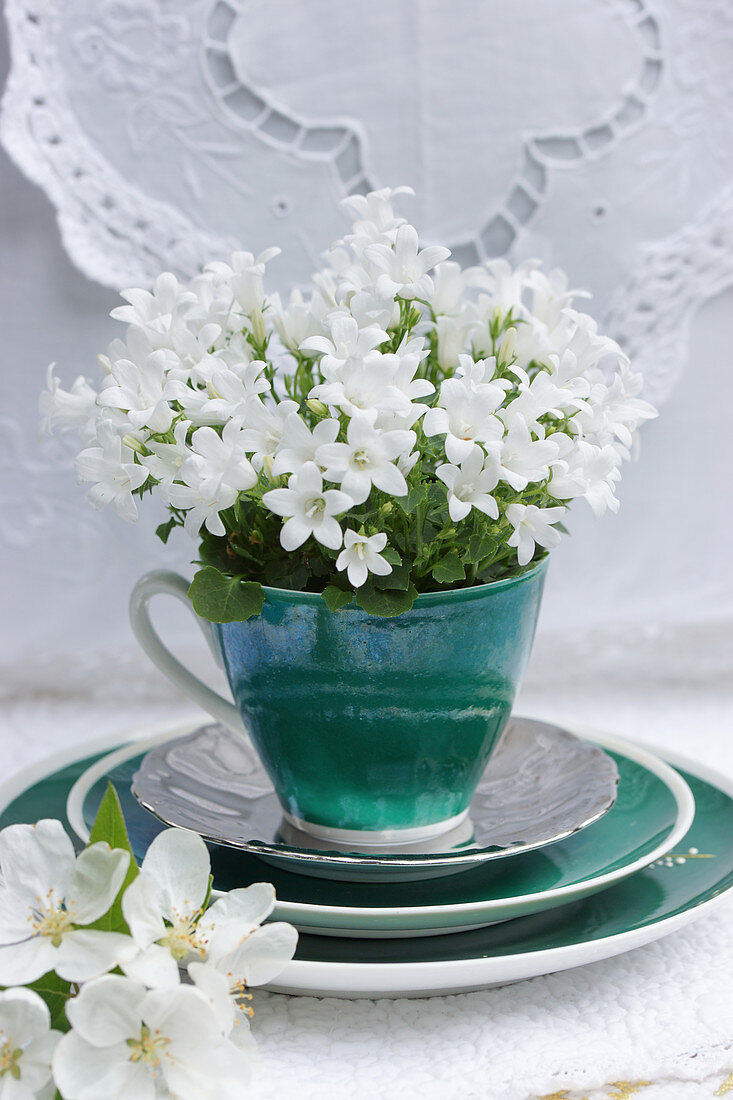 Weiße Glockenblumen in einer grünen Tasse