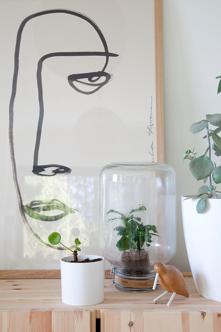One-lining drawing and houseplants in cache pots and upturned preserving jar