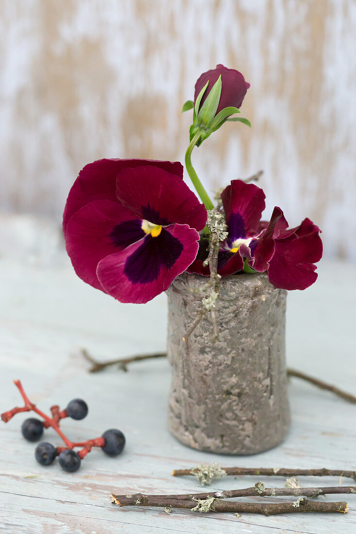 Violas in small stoneware vase