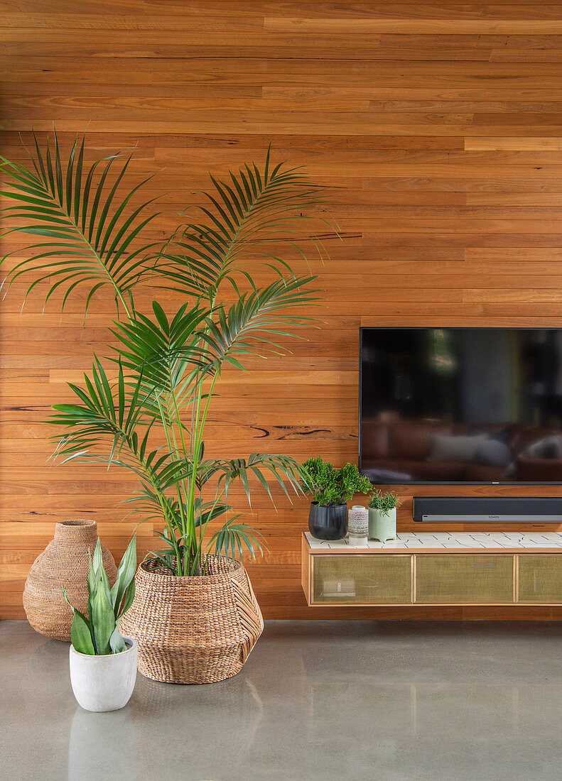 Flat screen TV above wall cabinet next to palm tree against wooden wall