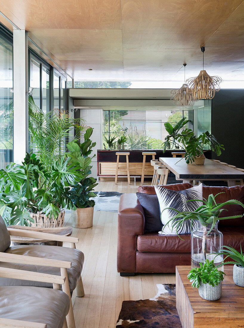 Many houseplants in open-plan interior in Urban Jungle style