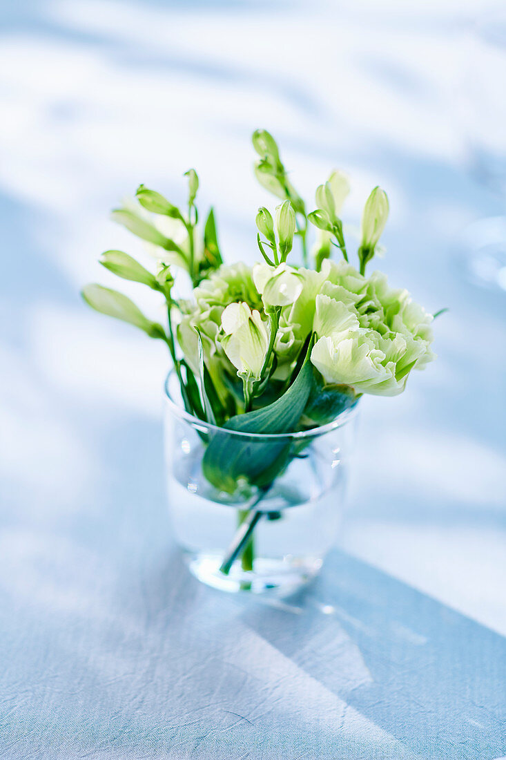 White carnations in glass of water