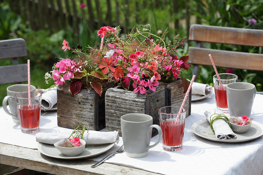 Gedeckter Gartentisch dekoriert mit Geranien und Buntnesseln in Holztöpfen