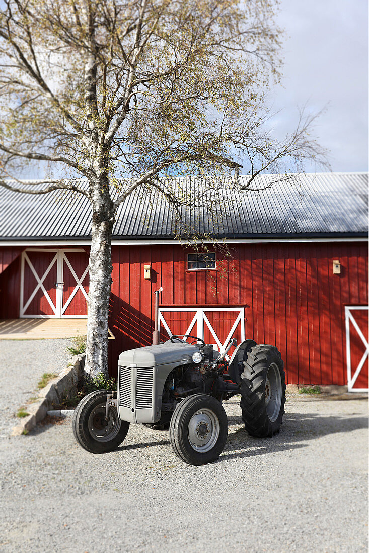 Tractor in front of birch and Falu-red barn