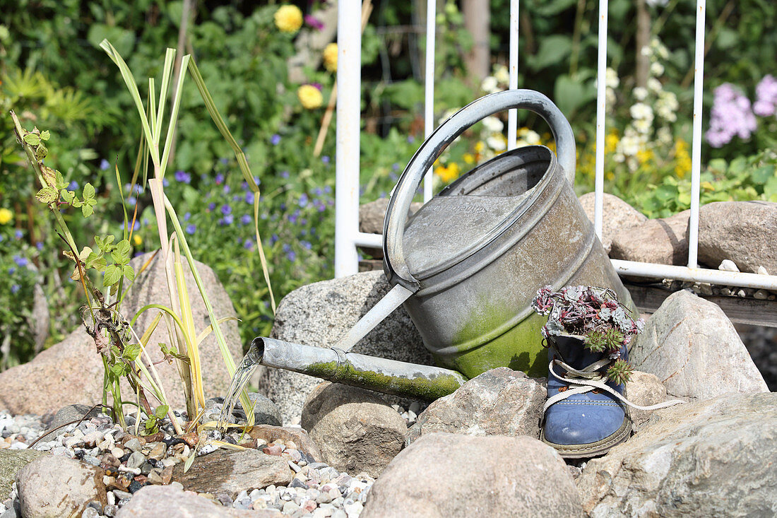 Water feature made from old watering can and succulents planted in boot