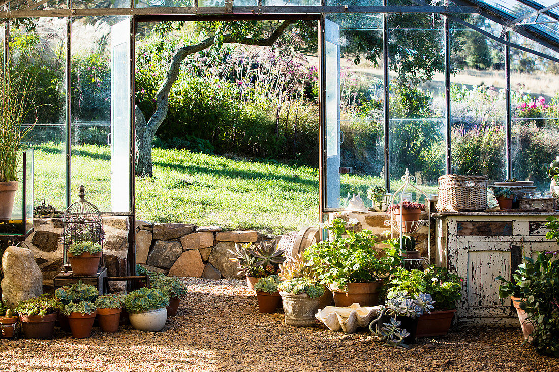 Mediterrane Deko im Gewächshaus mit Zierpflanzen in Terracottatöpfen