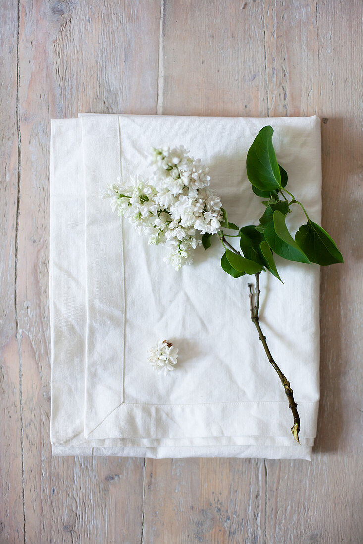 White lilac on white cushion cover
