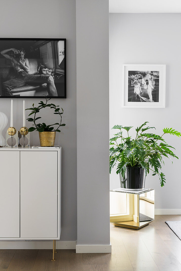 Zimmerpflanzen auf Sideboard und goldenem Würfel vor grauer Wand