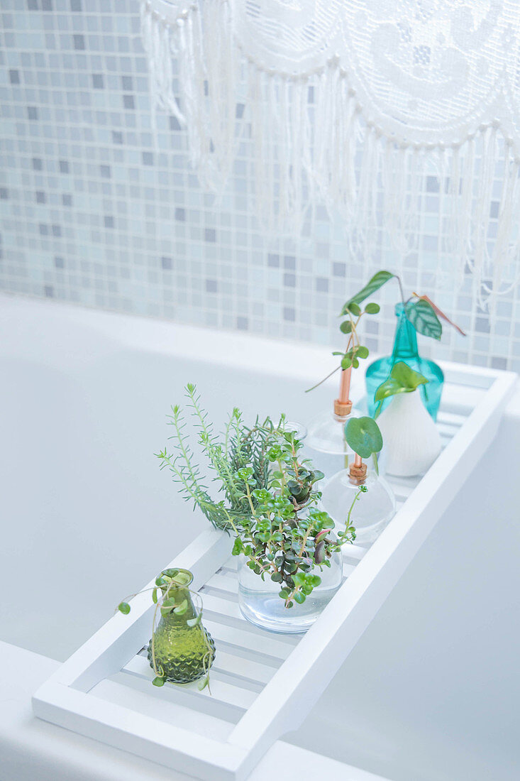 Grünpflanzen in Vasen auf Badewannenablage