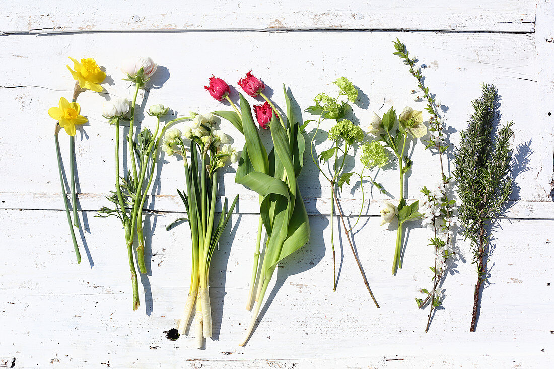 Narcissus, ranunculus, tulips, viburnum, hellebore and rosemary