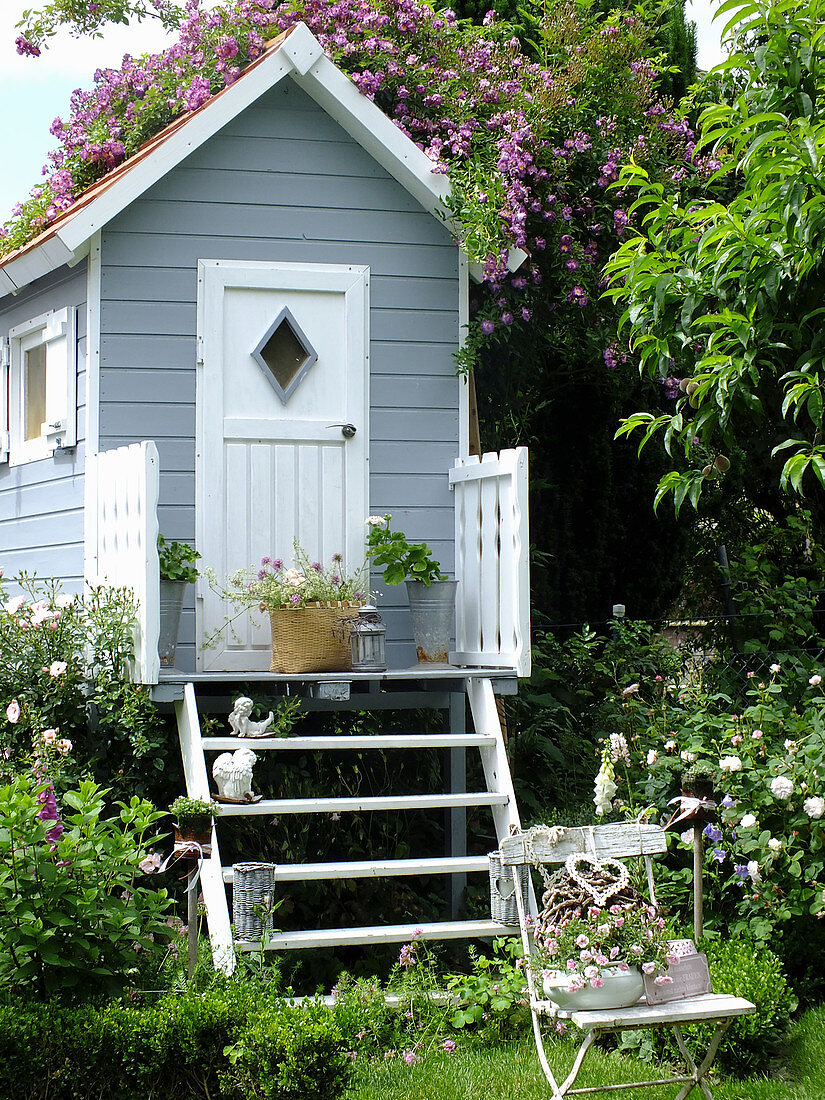 Old chair in front of stilt house with rambling rose 'Veilchenblsu' climbing over roof