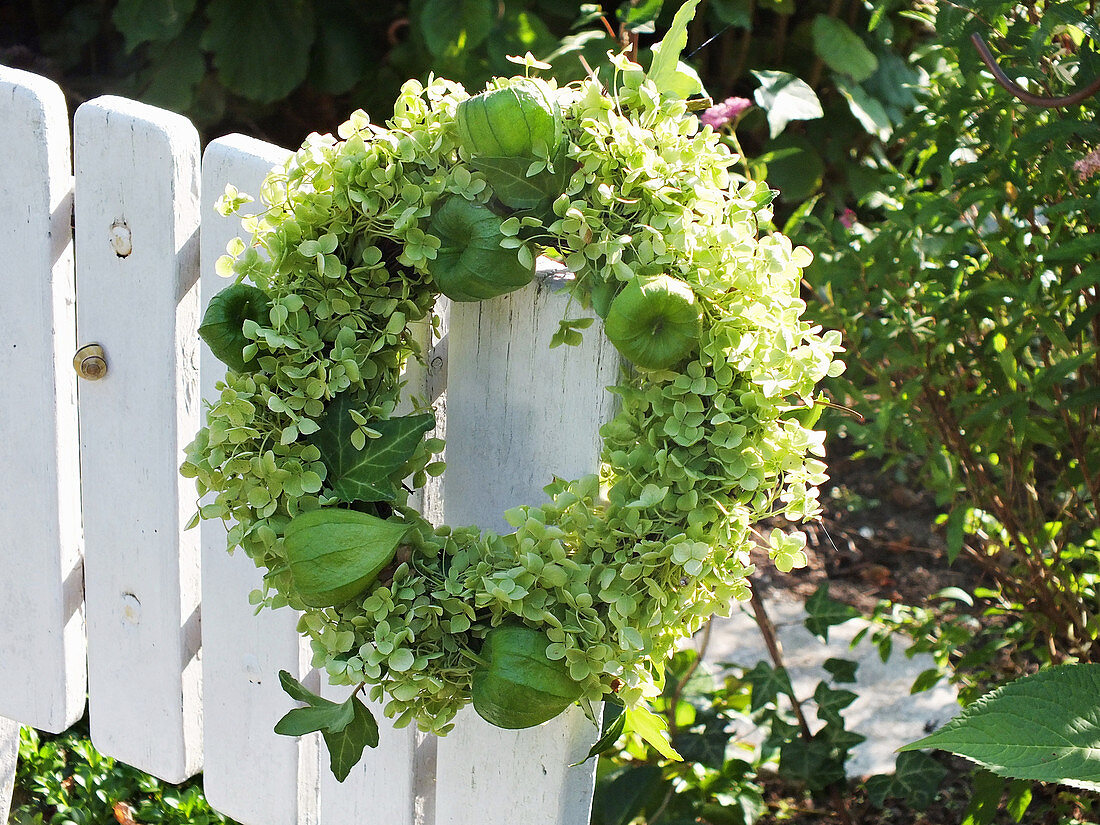 Wreath of hydrangea flowers and physalis lanterns on wooden fence