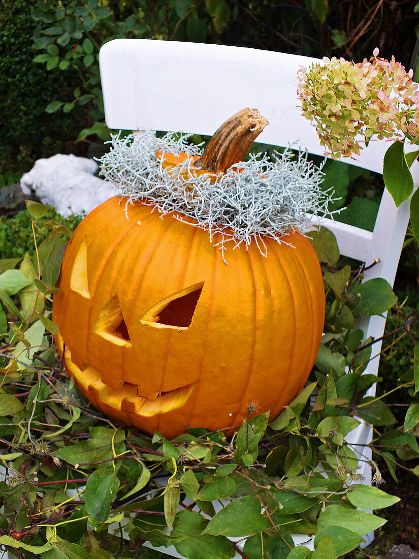Carved pumpkin for Halloween on garden chair