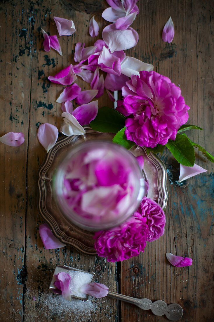Pinkfarbene Rosenblüten mit Zucker im Schraubglas