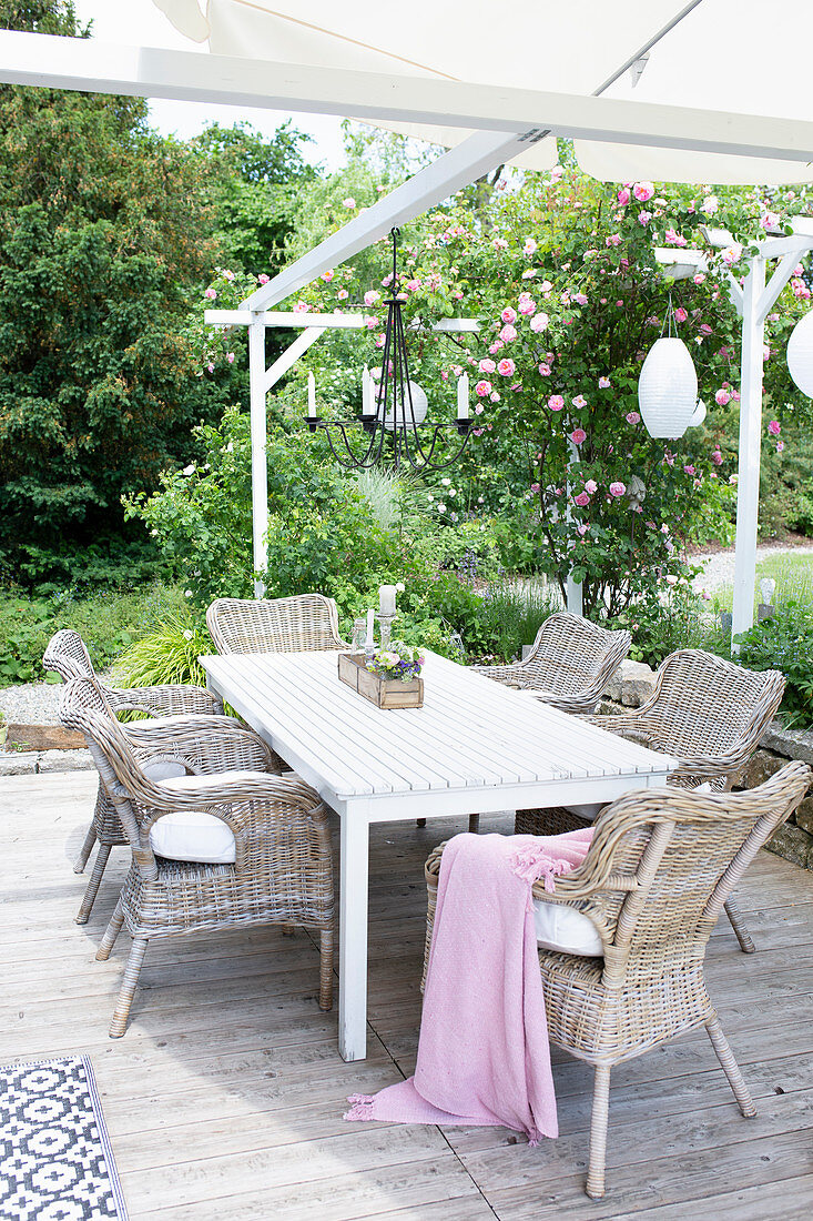 Summer terrace with seating area and climbing roses on a pergola