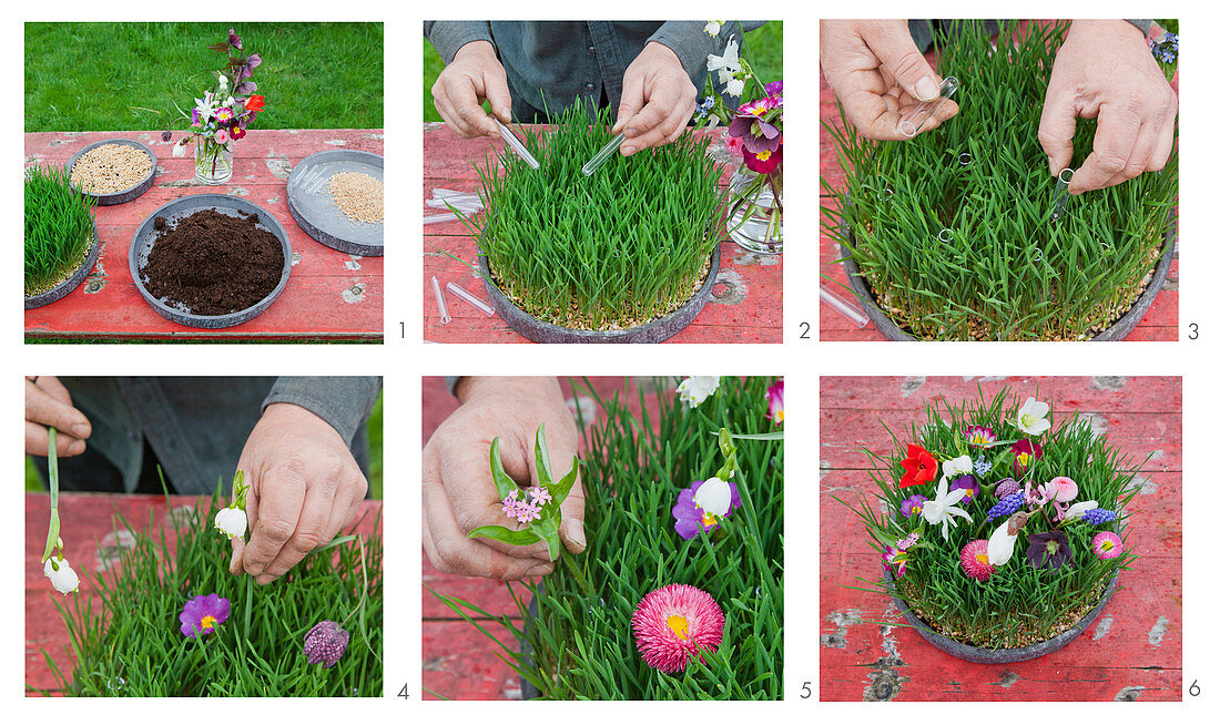 Instructions for making a flowering meadow in a dish