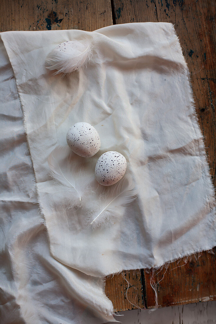 Gesprenkelte Eier und weiße Federn auf einem ausgefransten Stoff