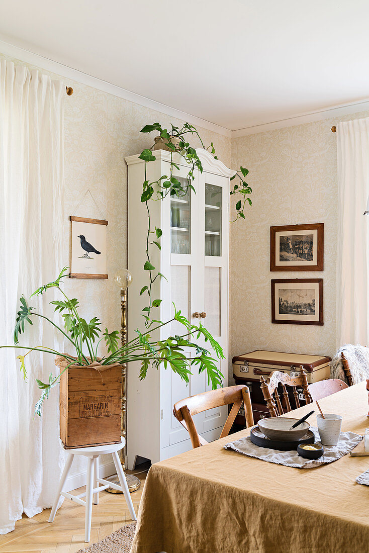 View of houseplants and white dresser seen across dining table