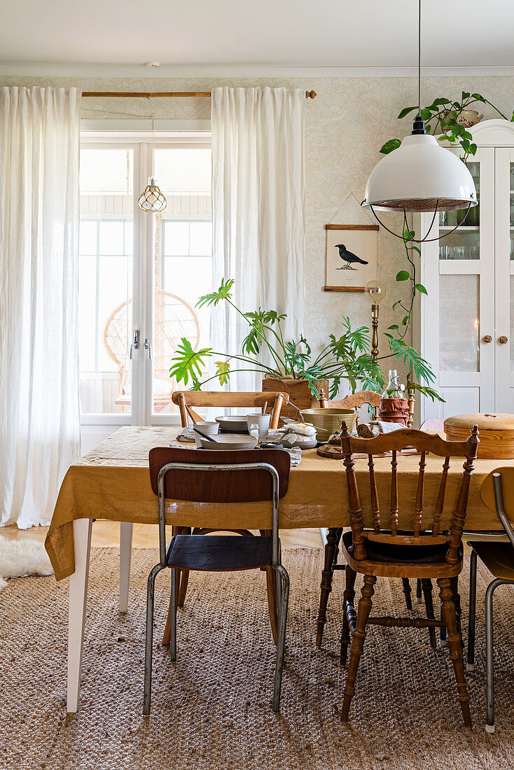 Dining table and various chairs in front of houseplants and window