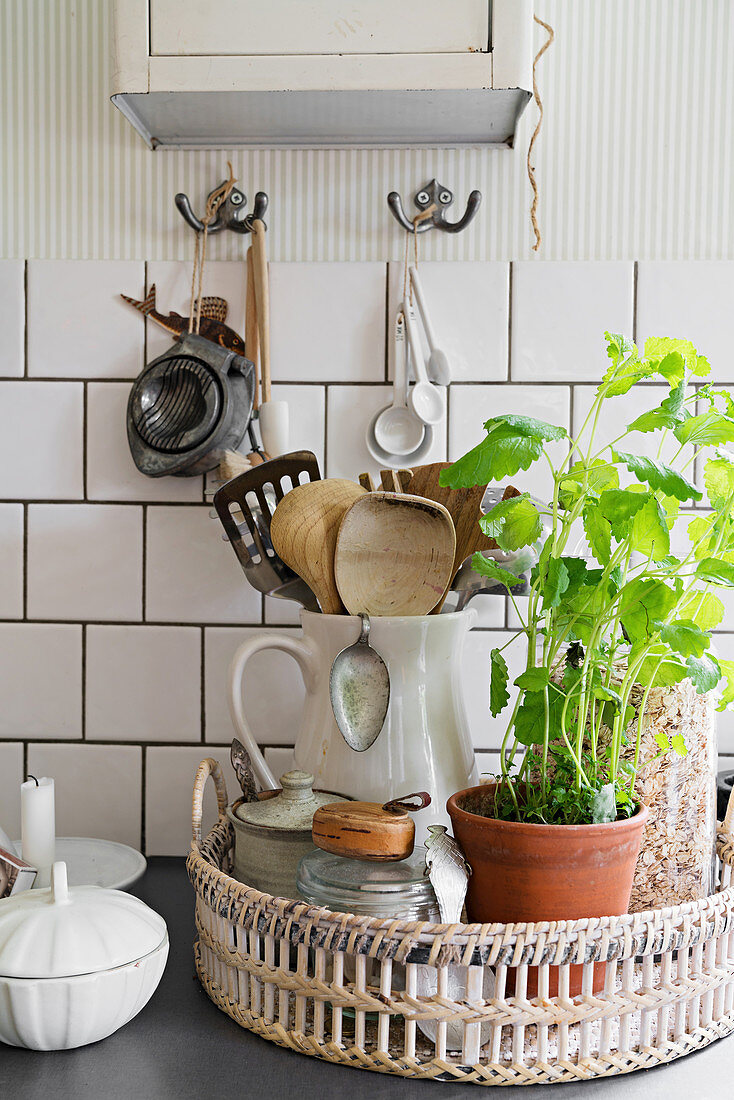 Kitchen utensils and potted herbs on tray