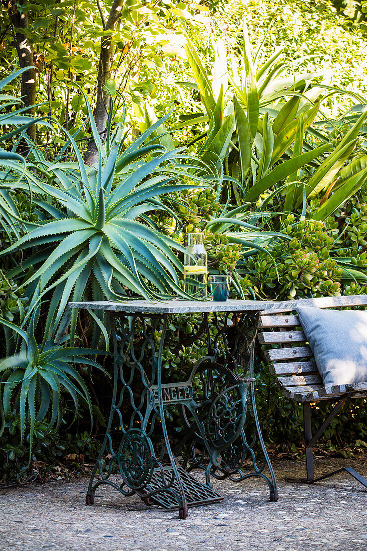 Alter Nähmaschinentisch im sommerlichen Garten mit Sukkulenten
