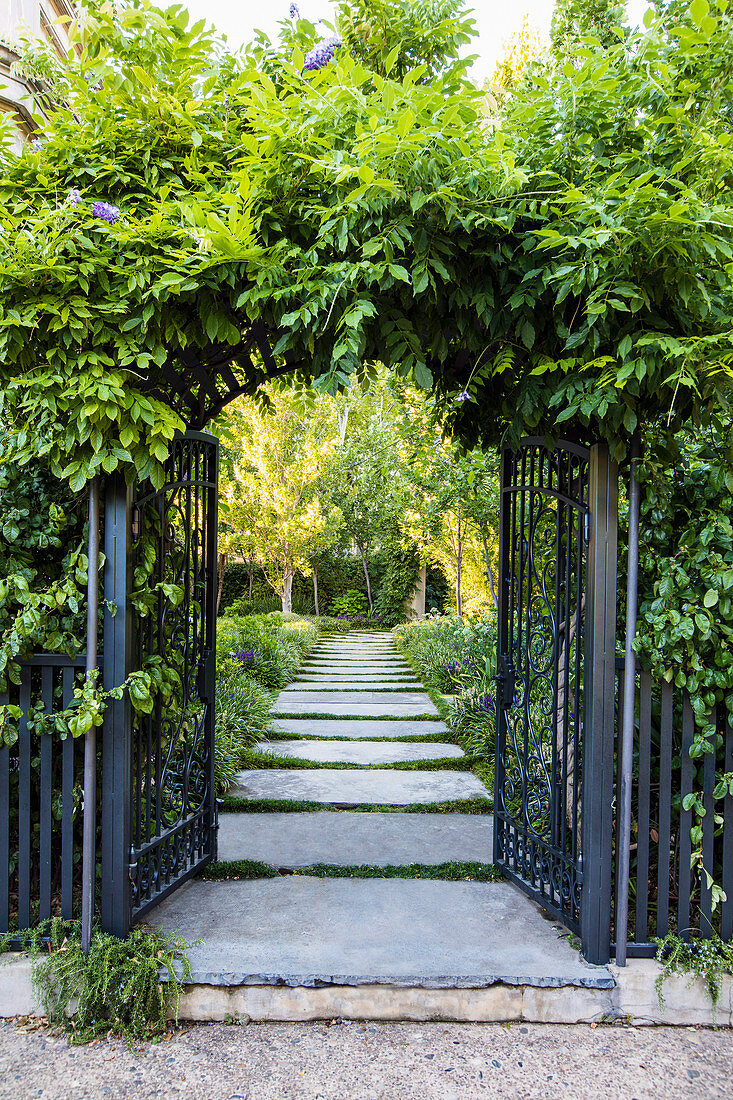 View through an open metal gate with blue vine into the garden