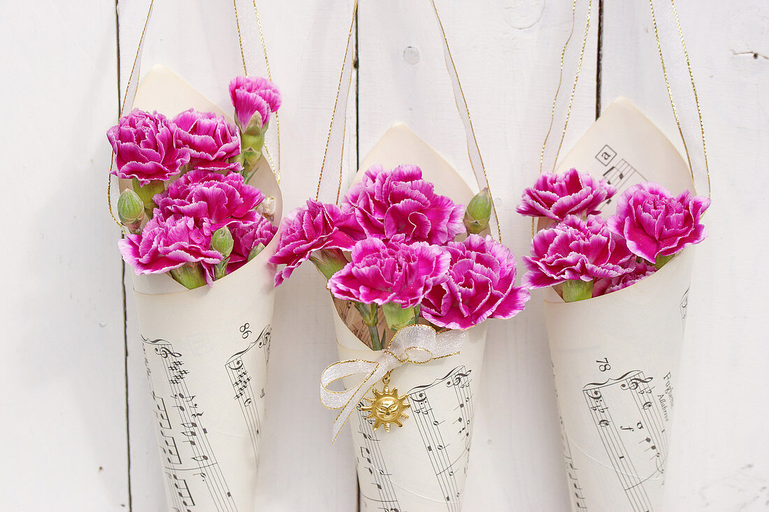 Carnations in paper cone bags