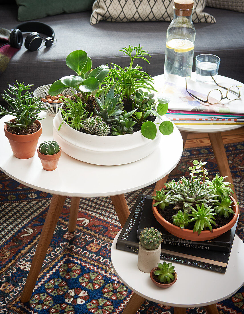 Succulents planted in bowls on side tables