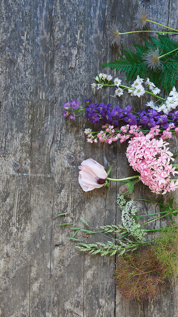 Blüten und Samenstände auf Holzbrett