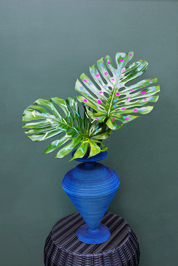 Monstera-Blätter dekorativ verziert mit Aufklebern und Tape-Streifen
