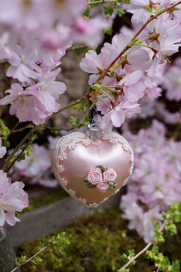 Heart-shaped bauble hung from branch of ornamental cherry