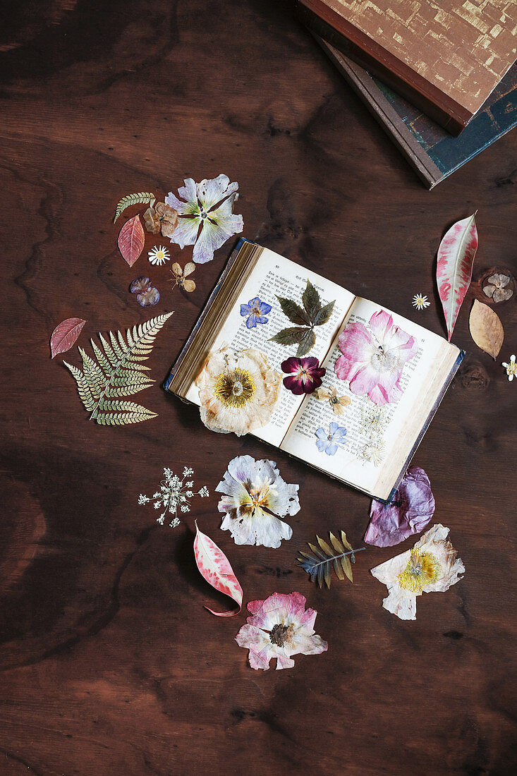 Aufgeschlagenes Buch mit gepressten Blumen und Blättern