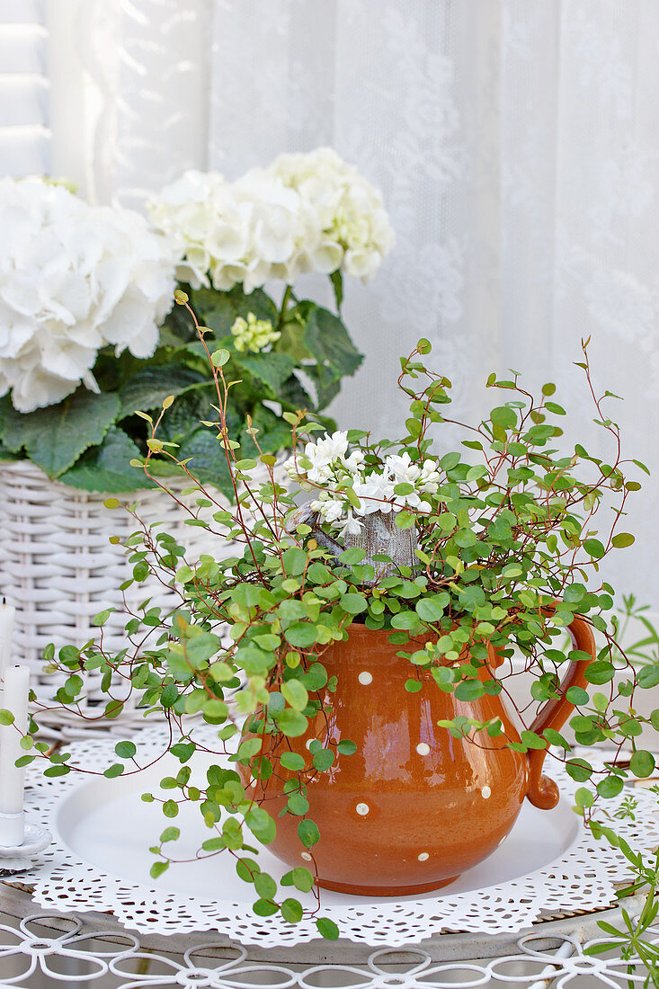 Jug with pohuehue and lilac flowers, white hydrangea in a basket