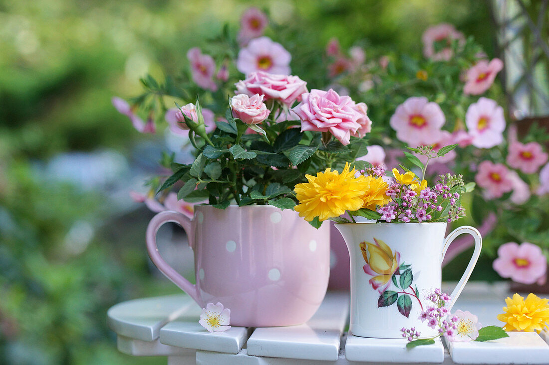 Small potted roses and mini-bouquet of kerrie and Meadowsweets in mugs