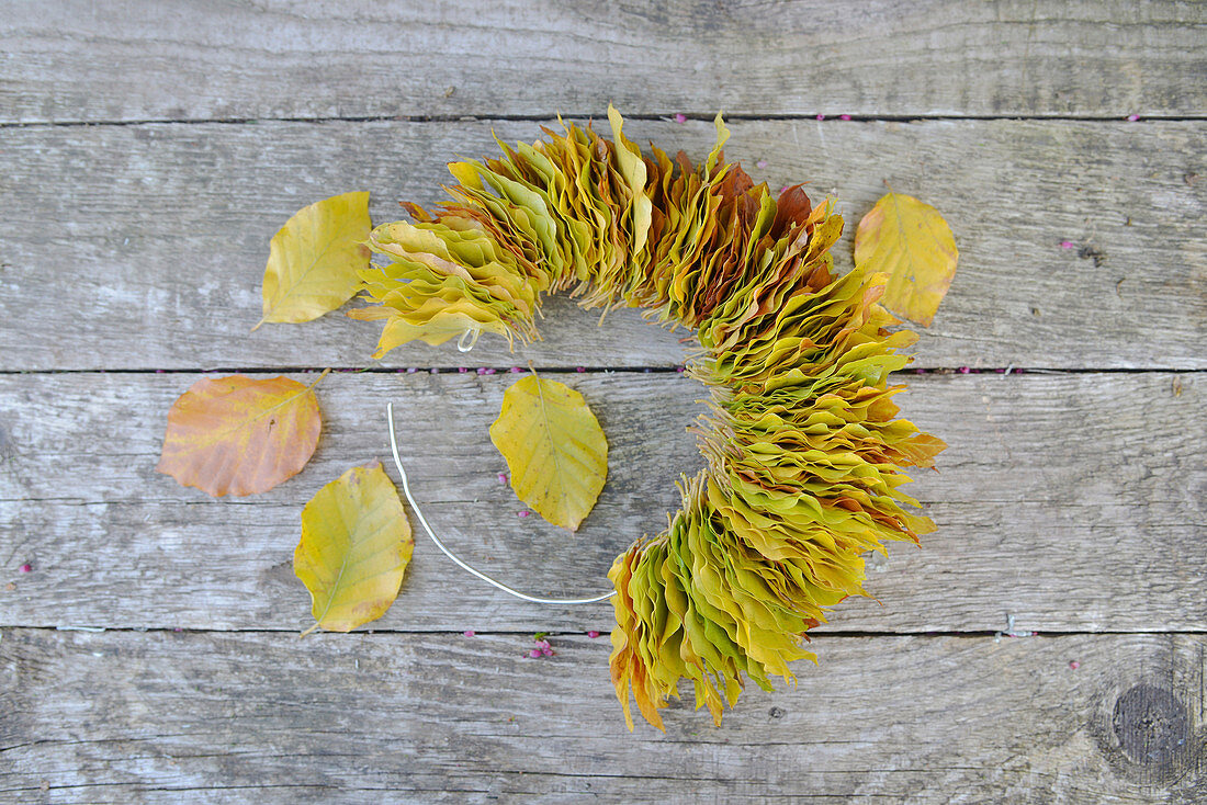 Half-finished wreath made of beech leaves
