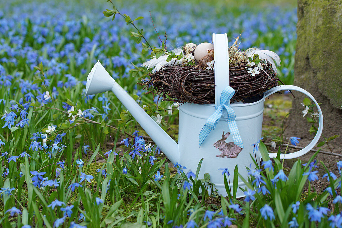 Easter basket made of twigs on a watering can between alpine squill
