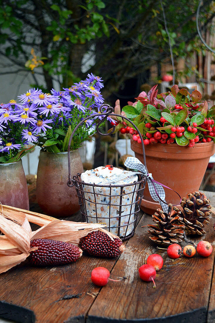 Autumnal arrangement of teaberry, Michaelmas daisies, pine cones red maize and bird food