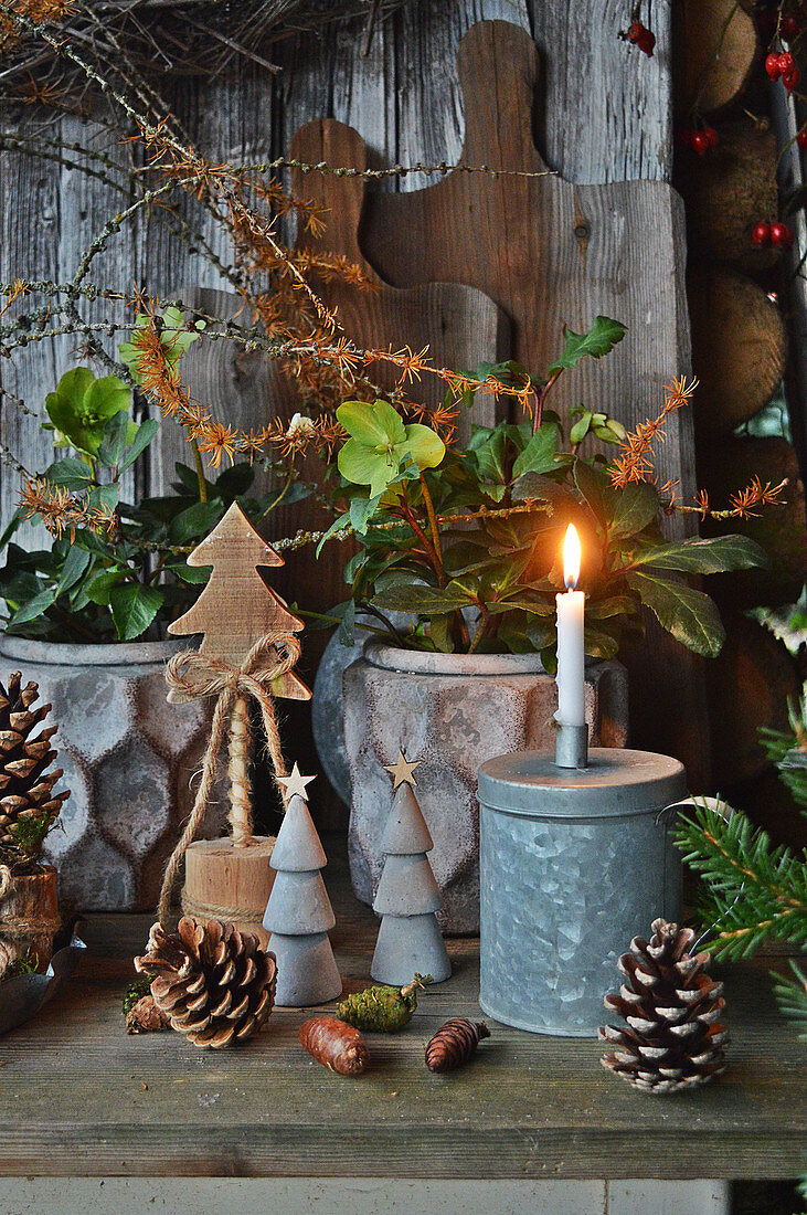 Christmas roses with branches of witch hazel, wooden decorative trees, Pinecones, and a candle