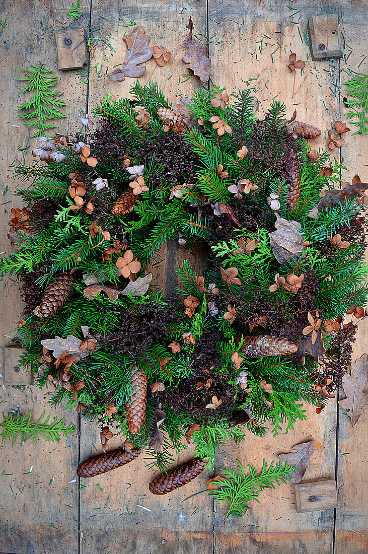 Wreath of spruce branches, thuja and dried hydrangea flowers