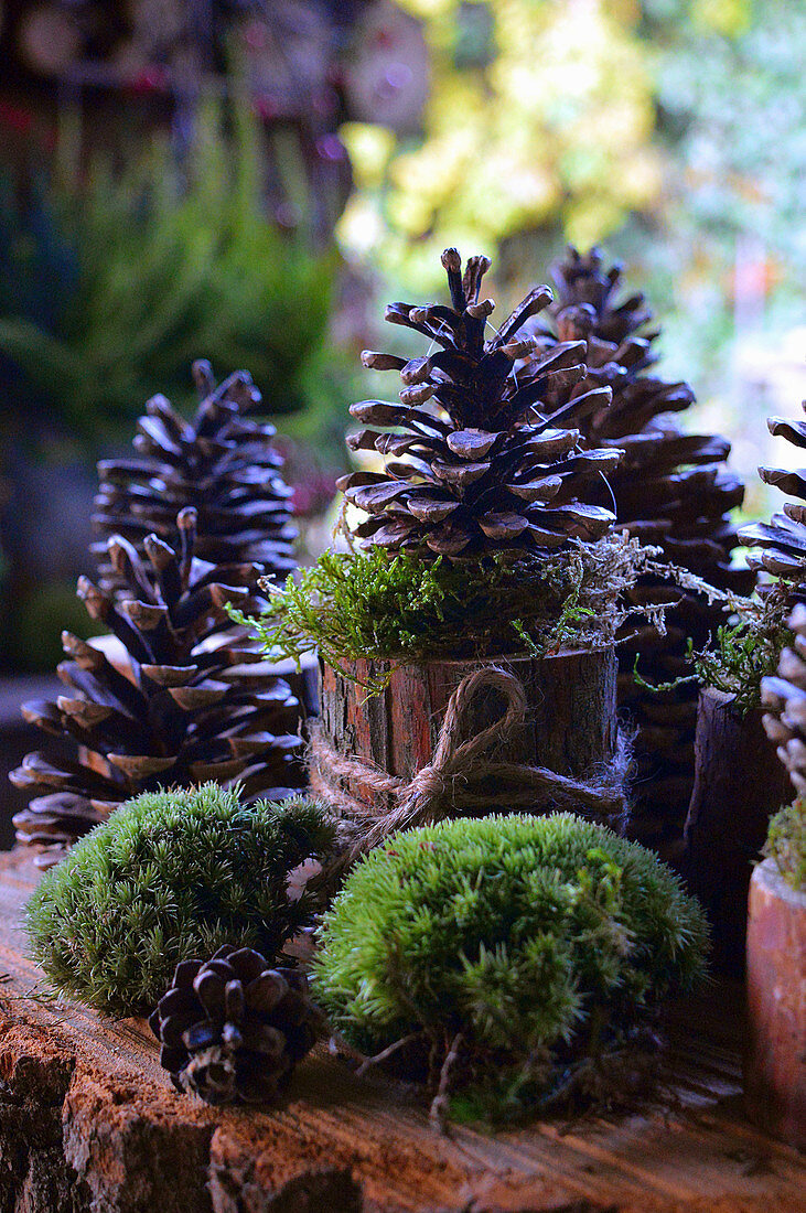 Pinecones decoration with moss