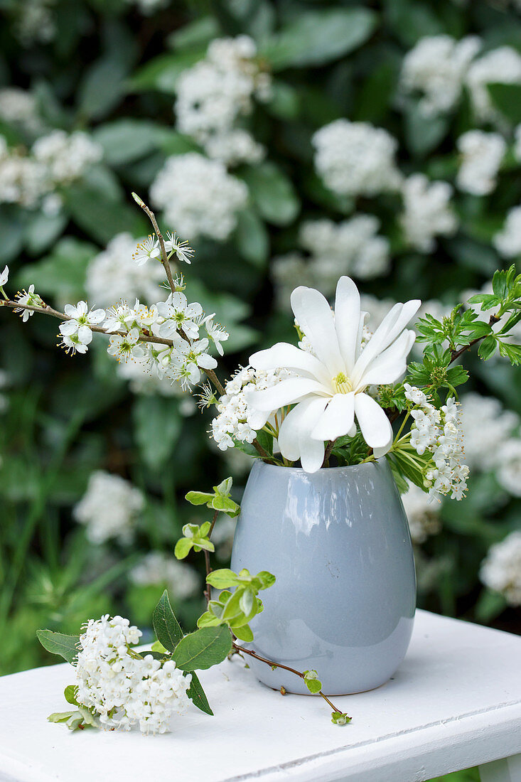 White flowers of star magnolia, sloe, hydrangea, and hawthorn