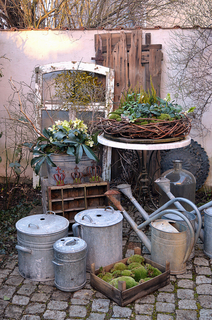 Wintry arrangement of hellebores, vine wreath, zinc pots, zinc watering cans and crate of moss