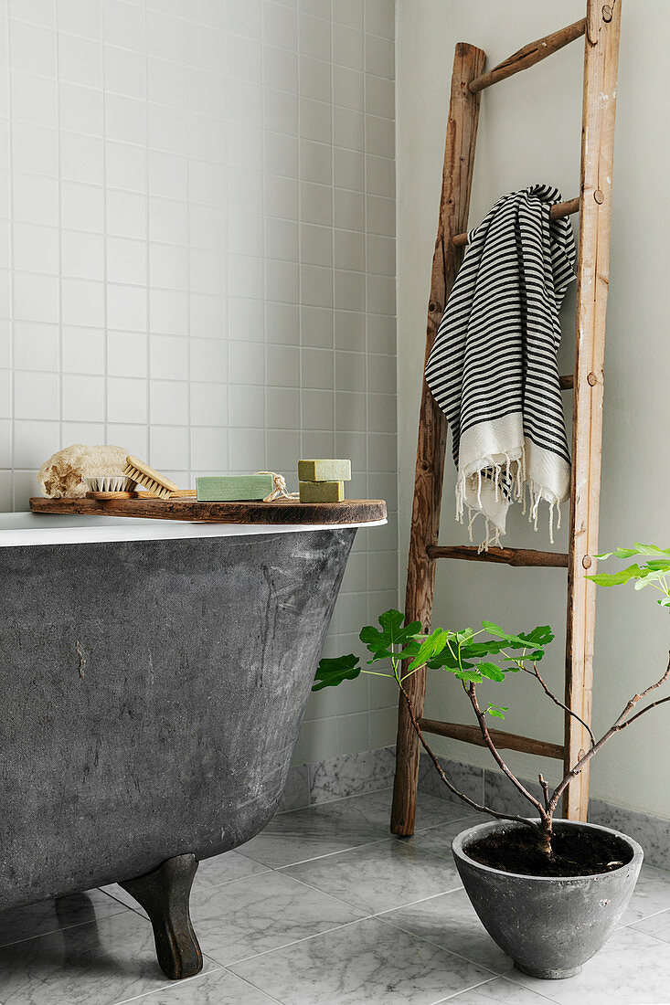 Wooden ladder used as towel rail and potted fig tree next to grey bathtub