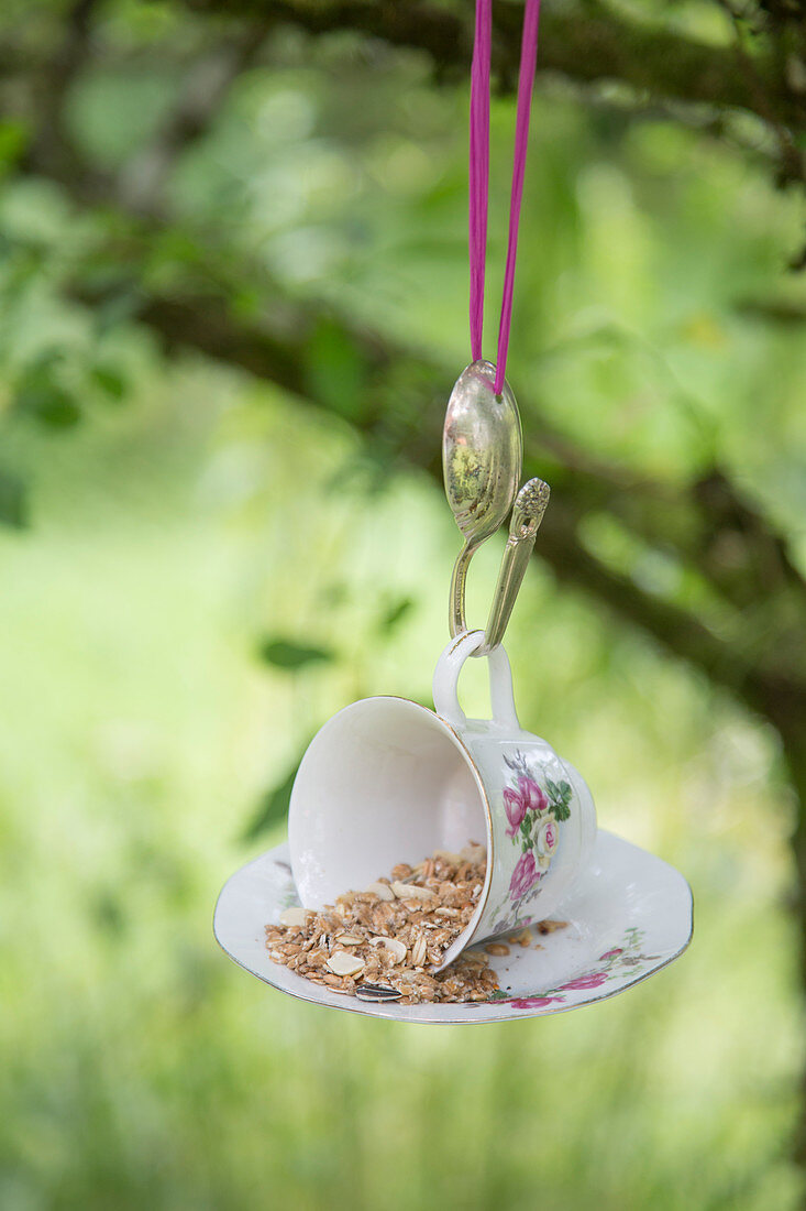 Bird feeder made from old teacup and saucer hung from bent spoon