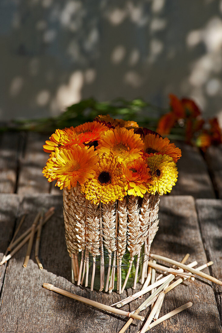 Jar of marigolds with collar of wheat ears
