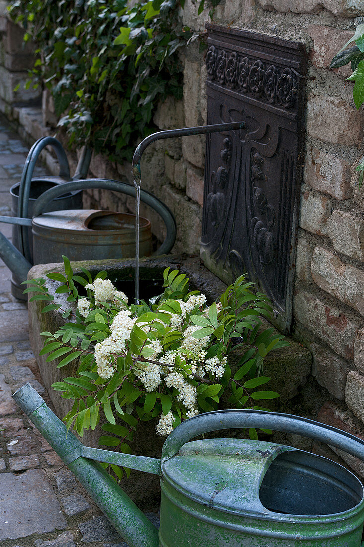 Metal watering cans next to waterspout with stone trough and flowing water