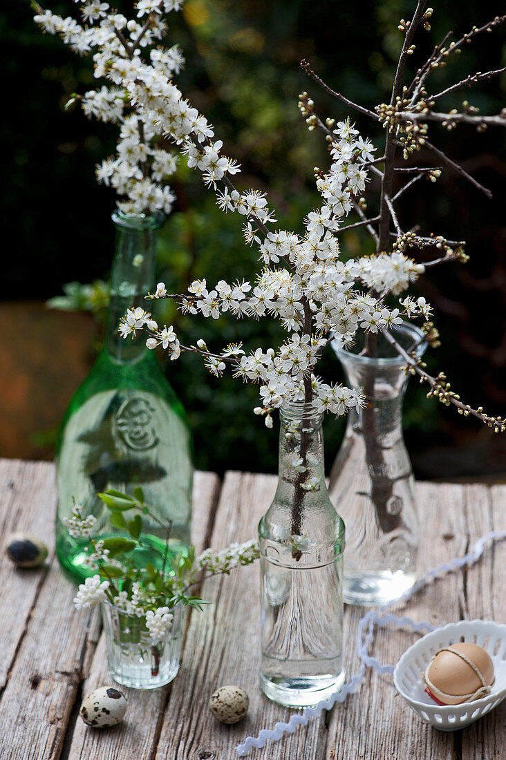 Twigs of blackthorn blossom in tiny bottles
