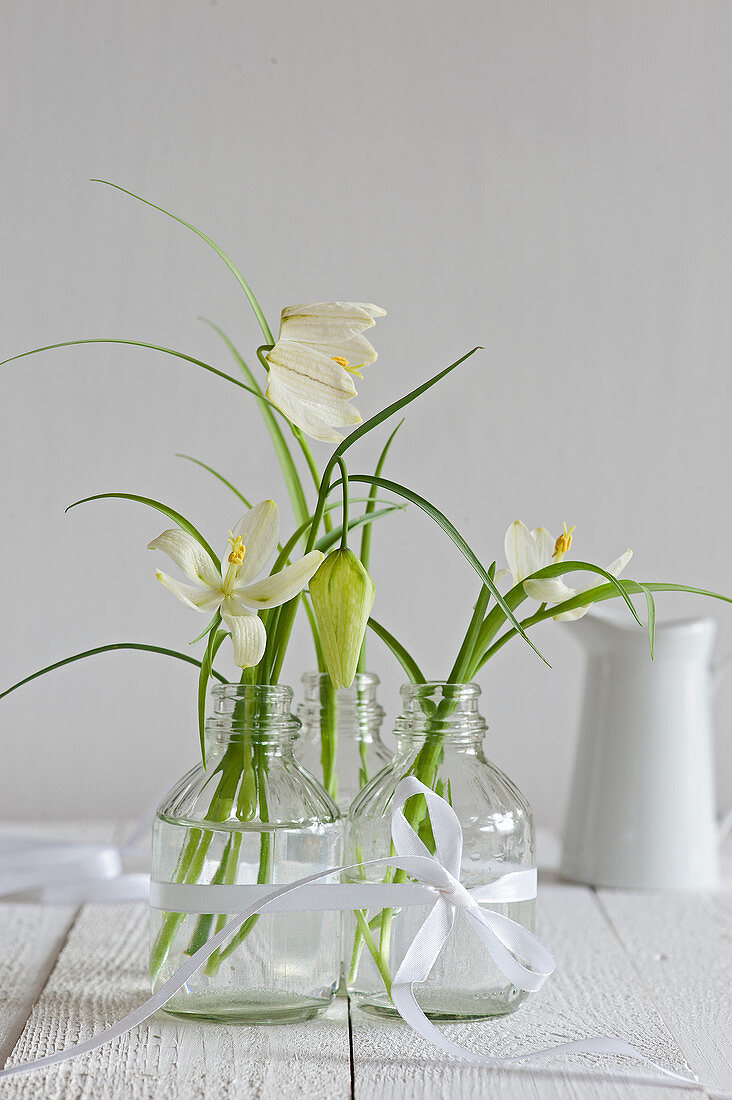 White snake's head fritillaries in glass bottles tied together with ribbon